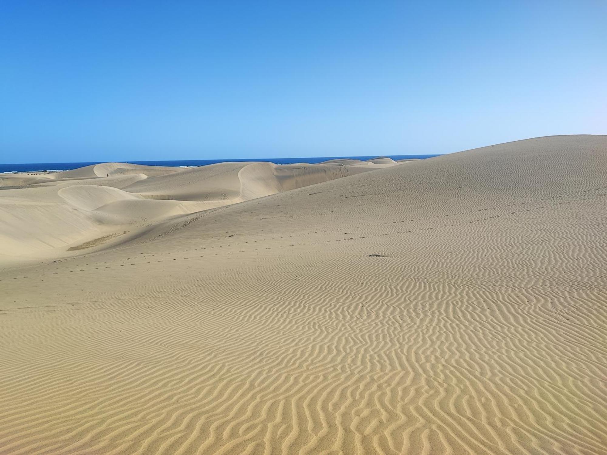 Piso Paraiso Vicino Al Mare Maspalomas  Eksteriør bilde